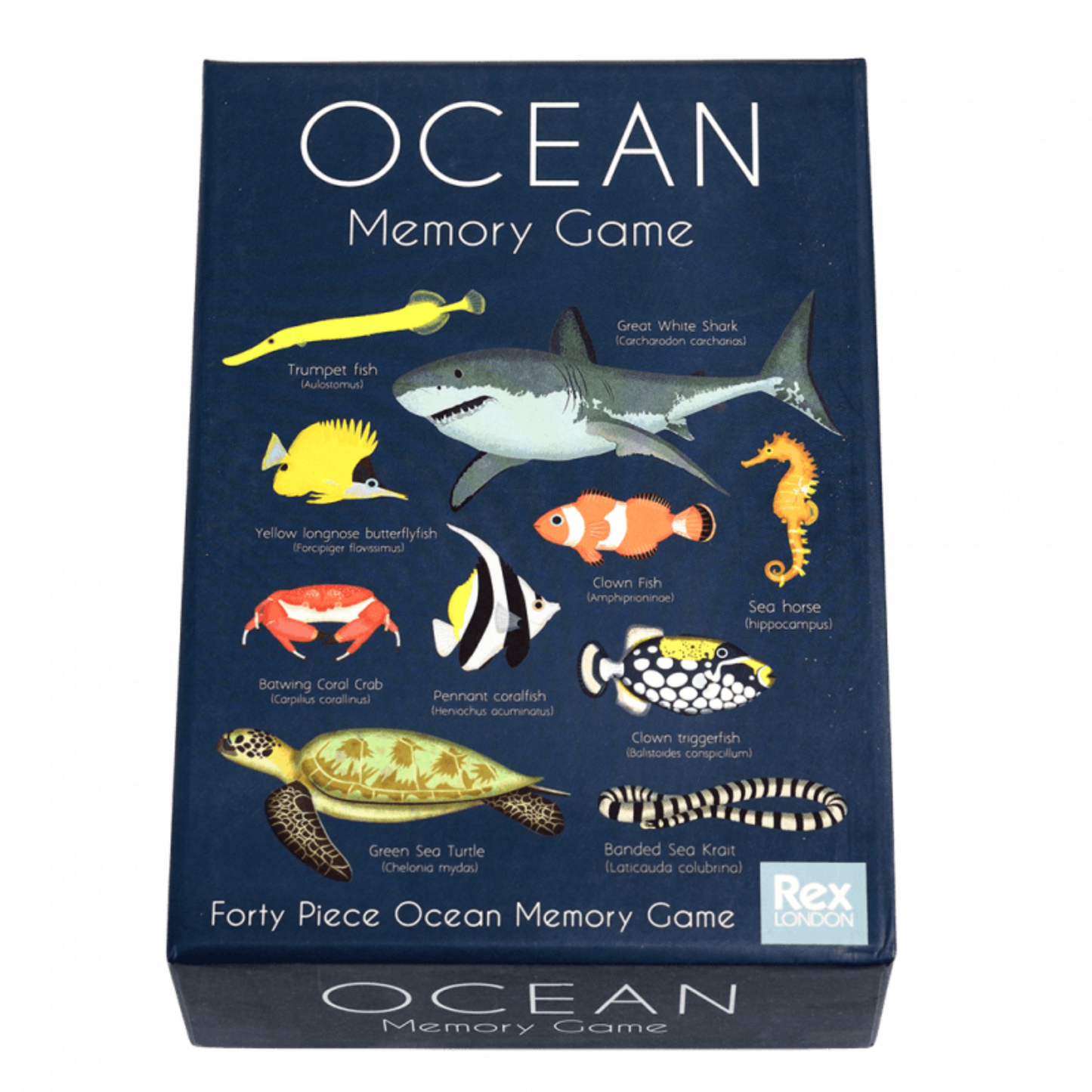 Memory game - Rex - (20 pairs) - Ocean