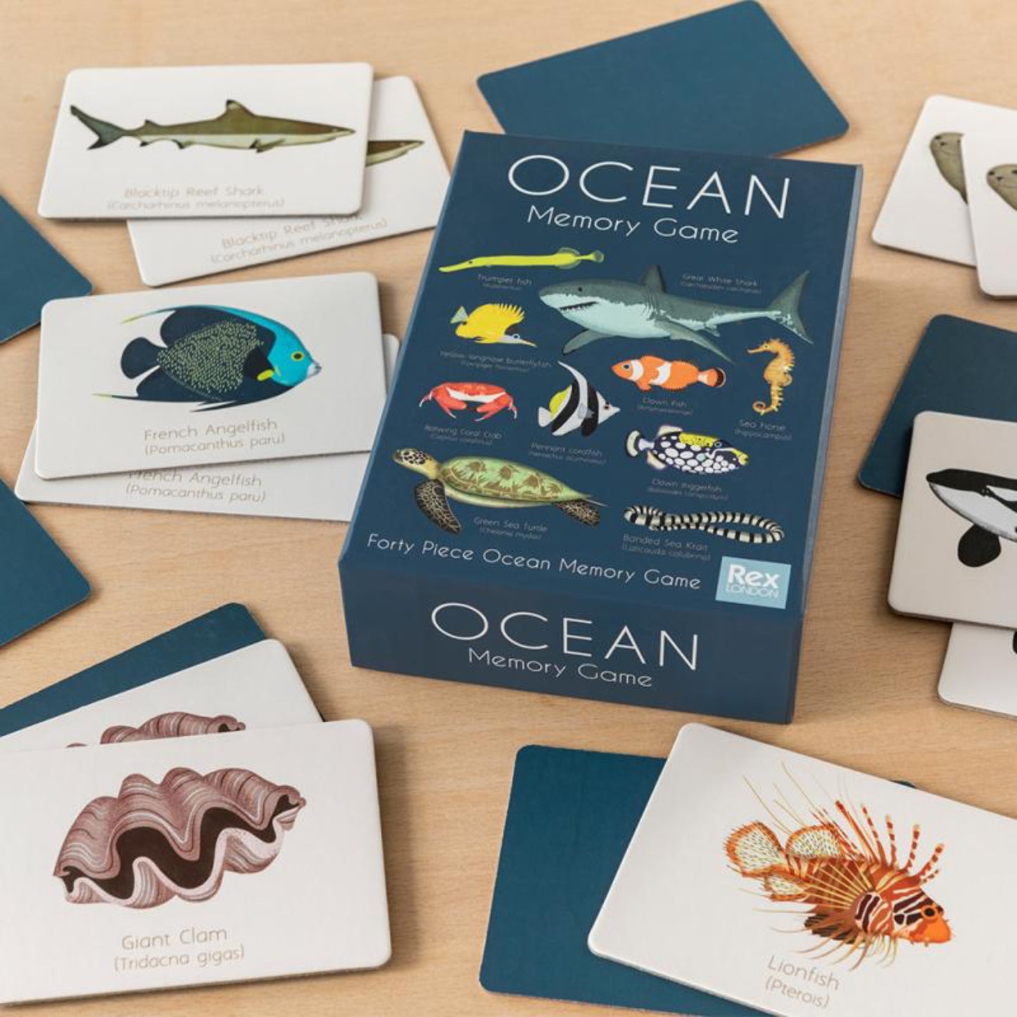 Memory game - Rex - (20 pairs) - Ocean
