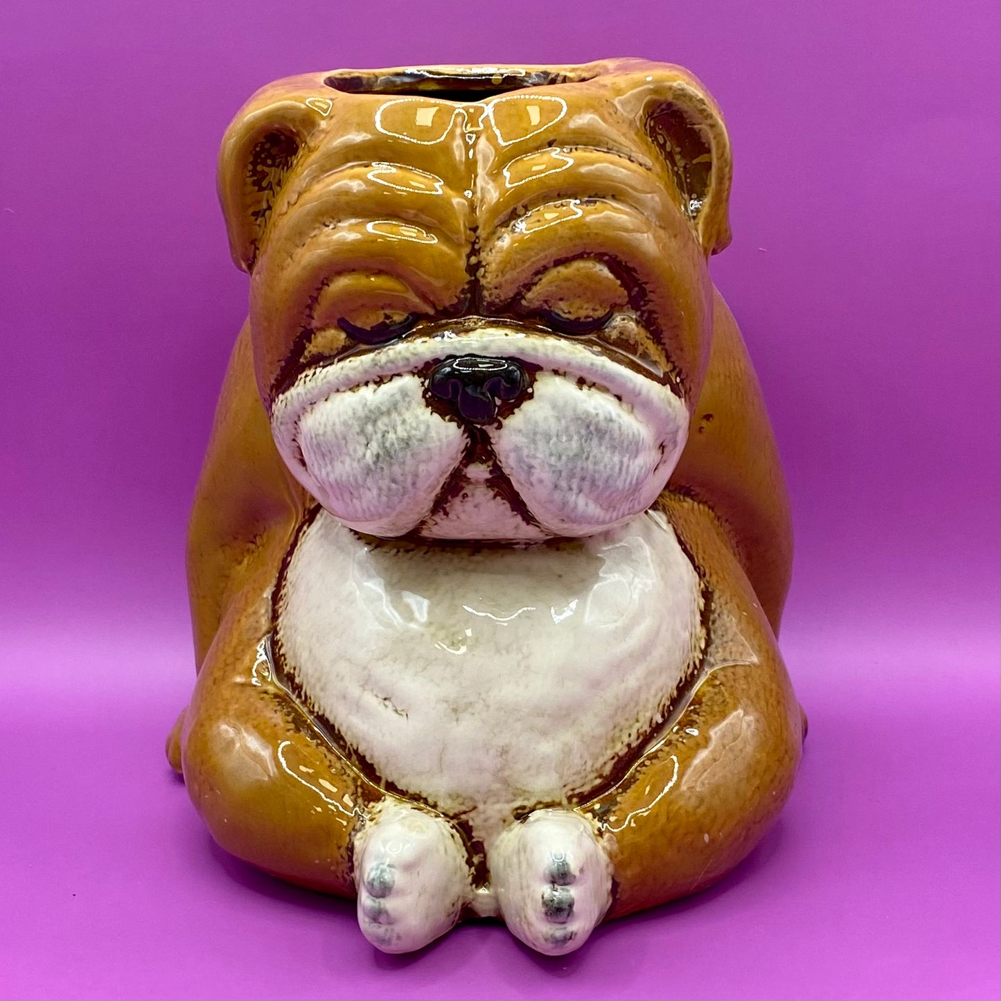 Village Pottery Top Dog Snoozing Bulldog Planter