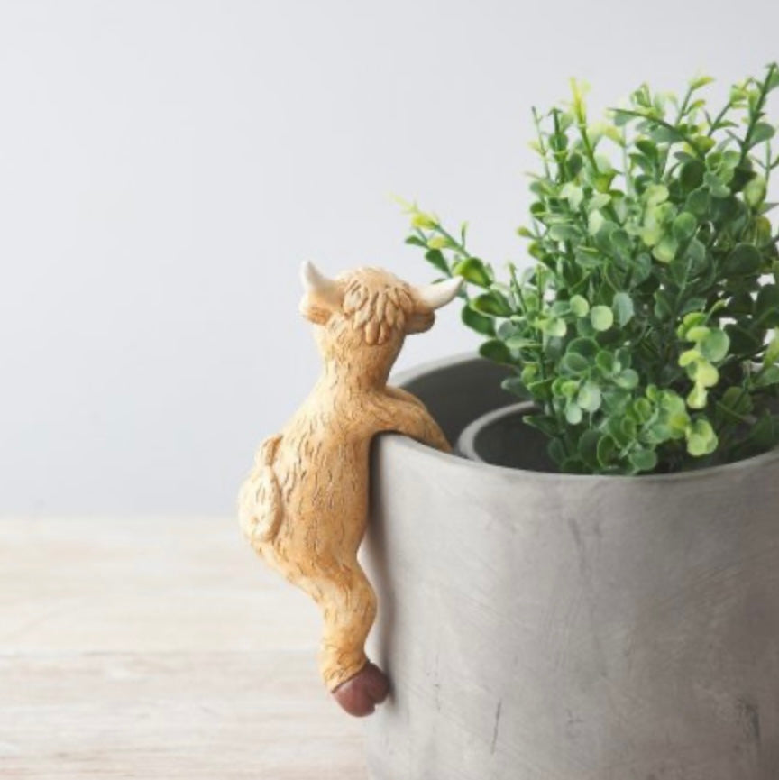 HIGHLAND COW POT PAL, 12.5CM